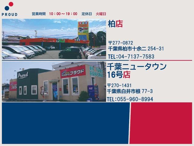 T /第三者機関鑑定/消毒除菌/純正オーディオ/CD/インテリキー/レベライザー/純正アルミ/電格ミラー/ETC(53枚目)