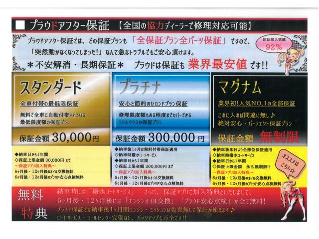 23C 両側パワスラ スマートキー 社外ホーン MTモード(4枚目)