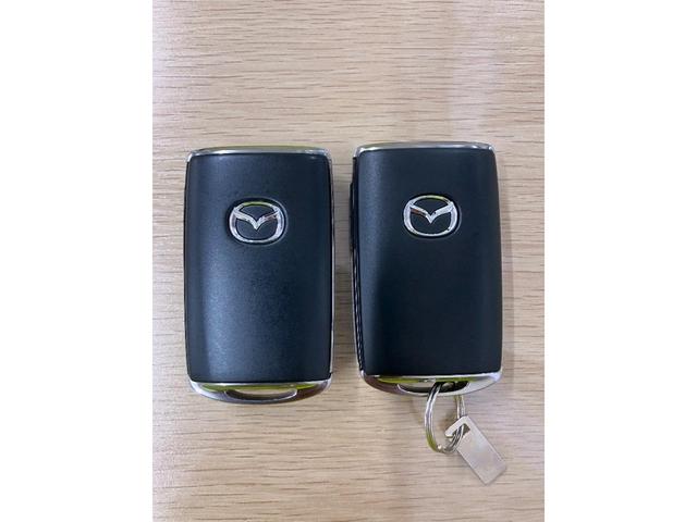 CX-3 15S ツーリング ユーザー買取車 修復歴無し 走行68,860km ワンオーナー 禁煙車 ナビフルセグTV 全方位モニター ETC車載器 LEDヘッドランプ スマートキー プッシュスタート(47枚目)