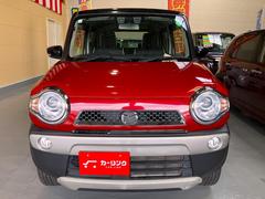 ե쥢С أӡ̵ԣʥӥե륻ԣ֡ȣɣĥإåɥ饤 0602069A30251010W002 2