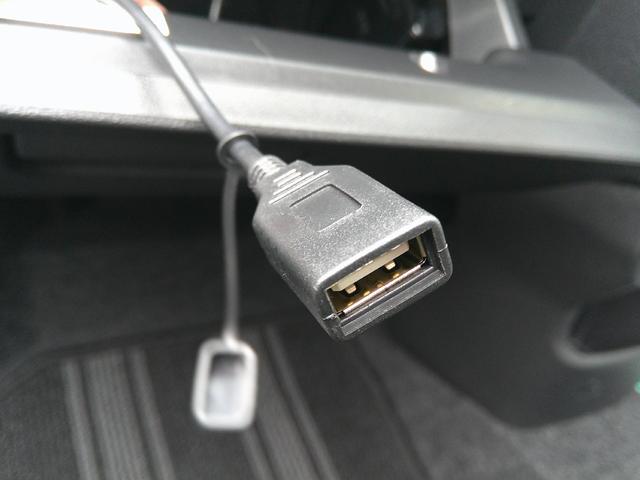 キャスト アクティバＸ　車検整備付　ワンオーナー車　社外ナビ　Ｂｌｕｅｔｏｏｔｈ接続可　ドライブレコーダー　ＥＴＣ　ＵＳＢ接続端子　走行４４千ｋｍ　オートライト　アイドリングストップ車　ＣＤ・ＤＶＤ再生　プッシュスタート（30枚目）