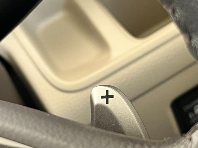 G・Lターボホンダセンシング 純正ナビ/バックモニター/フルセグ/Bluetooth/ETC/取扱説明書/整備手帳/スマートキー2つ付属(22枚目)