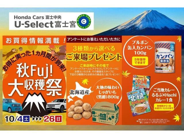 Ｎ－ＢＯＸカスタム ＧターボＳＳパッケージ　１年保証付　Ｂモニター　ワンオーナー車　スマートエントリー　ＶＳＡ　ＡＡＣ　ナビＴＶ　オートクルーズコントロール　サイドカーテンエアバック　パワステ　Ｗエアバッグ　Ｓヒーター　運転席エアバッグ　ＤＶＤ（2枚目）