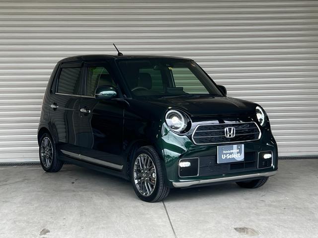 N-ONE プレミアムツアラー 保証2年 ターボエンジン カーテンエアバック 記録簿 LEDランプ クルコン 前席シートヒーター ETC Wエアバッグ フルオートエアコン エアバック DVD ABS パワステ パワーウインドウ(48枚目)