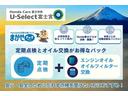ファン　２年保証　追突軽減ブレーキ　Ｂカメ　キーフリー　ＷＳＲＳ　フルフラットシート　ＤＶＤ再生　ＬＥＤヘッドランプ　運転席エアバッグ　スマートキー　フルセグＴＶ　クルーズコントロール　パワーウィンドー　ＰＳ（78枚目）