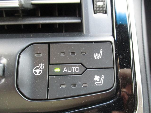 ランドクルーザー ＧＲスポーツ　メーカーナビ／ＴＶ／ＪＢＬプレミアムサウンド／パノラミックビューモニター・パワーバックドア・ＨＵＤ・ＢＳＭ・純正１８インチＡＷ・サンルーフ・ＧＲ専用ブラック＆レッドレザーシート・電動デフロック（60枚目）