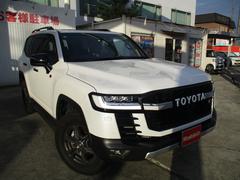 ɥ롼 ǣҥݡġ᡼ʥӡԣ֡ʣ£̥ץߥॵɡѥΥߥåӥ塼˥ 0602143A30251029W001 2