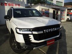 ɥ롼 ǣҥݡġ᡼ʥӡԣ֡ʣ£̥ץߥॵɡѥΥߥåӥ塼˥ 0602143A30251029W001 3