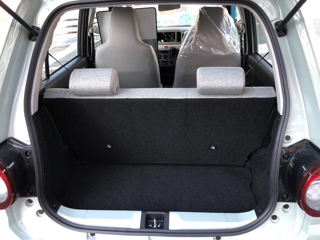 L SAIII アップグレード バックカメラ 届出済未使用車(10枚目)