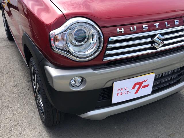 J デュアルカメラブレーキ プッシュスタート 届出済未使用車(3枚目)
