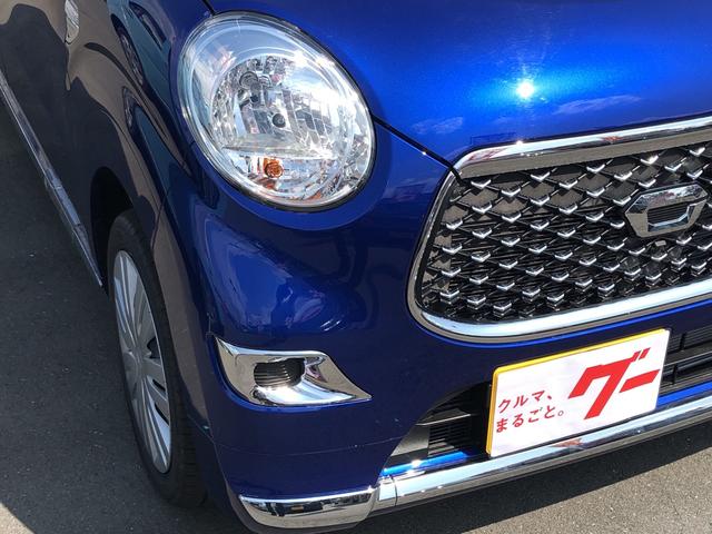 スタイルX リミテッド SAIII 届出済未使用車(4枚目)