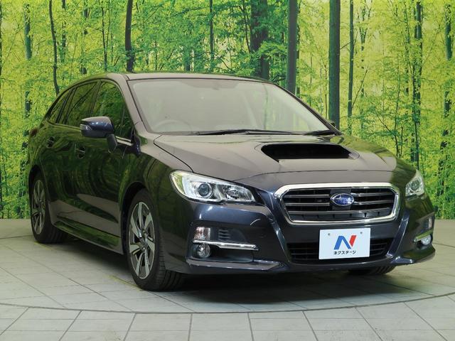 1.6GT 社外SDナビ バックカメラ クルーズコントロール 4WD ターボ 純正17インチAW ETC 横滑り防止装置 アイドリングストップ 電動格納ミラー(19枚目)