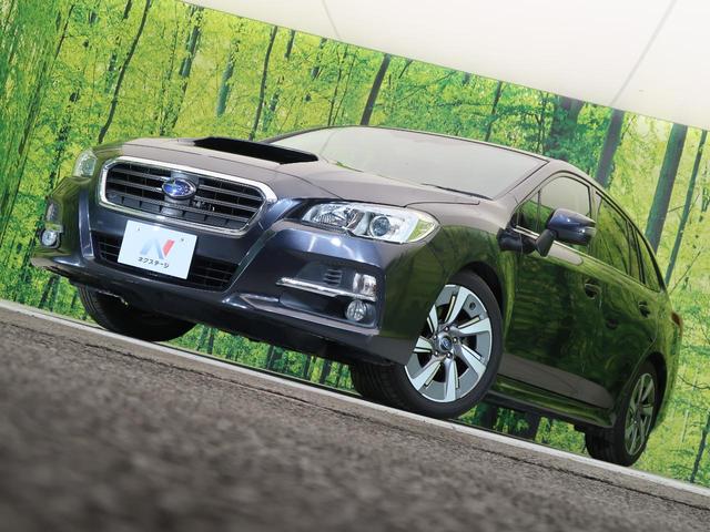 1.6GT 社外SDナビ バックカメラ クルーズコントロール 4WD ターボ 純正17インチAW ETC 横滑り防止装置 アイドリングストップ 電動格納ミラー(22枚目)
