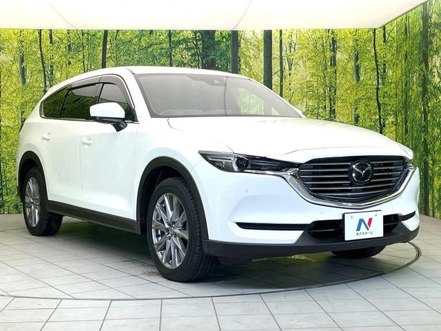 ＣＸ－８ ２５Ｓ　プロアクティブ　禁煙車　純正８型ナビ　後席モニター　全方位モニター　スマートブレーキ　レーダークルーズ　７人乗り　パワーバックドア　ＬＥＤヘッド　オートライト　オートエアコン　ＥＴＣ　パワーシート　スマートキー（17枚目）