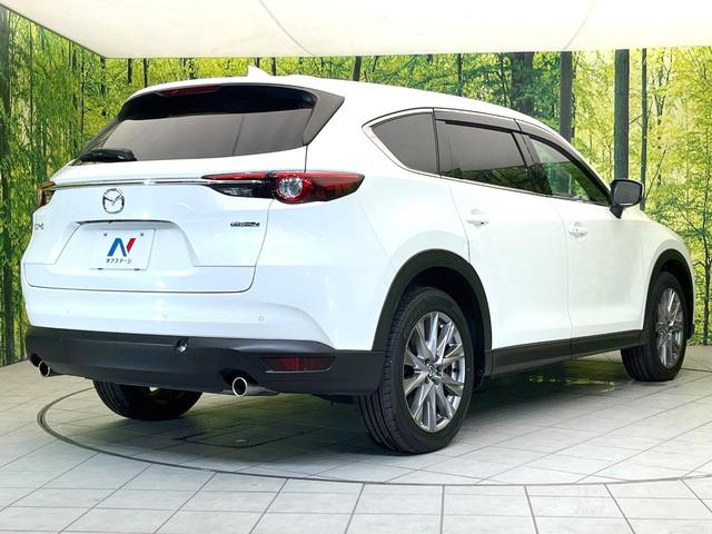 ＣＸ－８ ２５Ｓ　プロアクティブ　禁煙車　純正８型ナビ　後席モニター　全方位モニター　スマートブレーキ　レーダークルーズ　７人乗り　パワーバックドア　ＬＥＤヘッド　オートライト　オートエアコン　ＥＴＣ　パワーシート　スマートキー（72枚目）