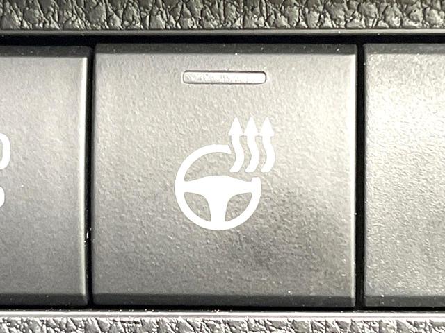 ＲＡＶ４ アドベンチャー　オフロードパッケージＩＩ　禁煙車　純正１０．５型ＤＡ　バックカメラ　セーフティセンス　ＢＳＭ　デジタルミラー　ステアリングヒーター　シートベンチレーション　レーダークルーズ　ＥＴＣ　スマートキー　ＬＥＤヘッドライト（53枚目）