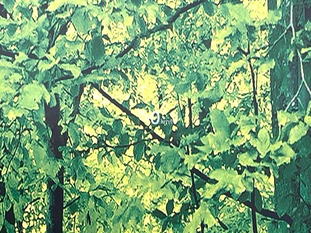 CX-5 20S スマートエディション 禁煙車 純正10.25型ナビ 全方位モニター スマートブレーキ レーダークルーズ BSM ヘッドアップディスプレイ ETC オートエアコン パーキングセンサー LEDヘッド オートライト スマートキー(7枚目)