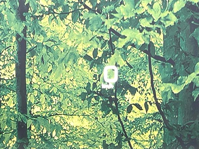 プリウス Ａツーリングセレクション　禁煙車　純正９型ナビ　バックモニター　セーフティセンス　レーダークルーズ　ＢＳＭ　シートヒーター　ヘッドアップディスプレイ　ＥＴＣ　ドラレコ　オートエアコン　ＬＥＤヘッド　オートライト　スマートキー（7枚目）