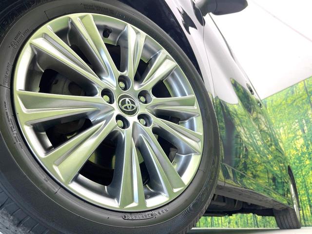 アルファード ２．５Ｓ　Ａパッケージ　タイプブラック　禁煙車　純正１０型ナビ　サンルーフ　バックカメラ　フリップダウン　セーフティセンス　レーダークルーズ　両側電動スライドドア　ＥＴＣ　スマートキー　ＬＥＤヘッドライト　フォグライト（14枚目）