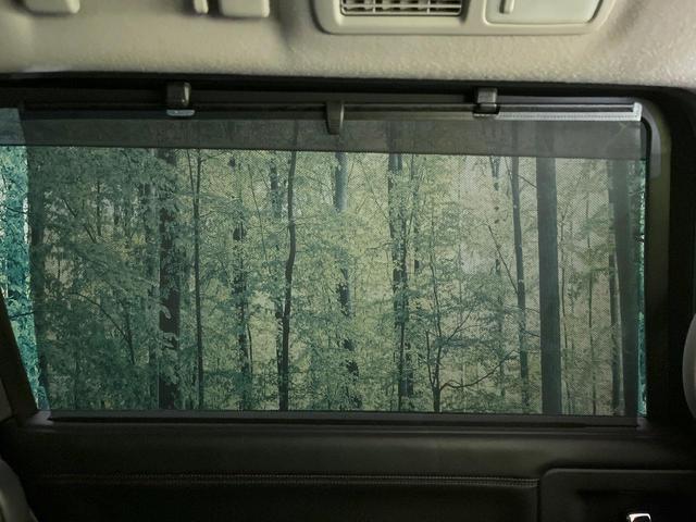 エルグランド 250ハイウェイスターS 禁煙車 純正ナビ フリップダウンモニター 全方位モニター 両側パワスラ オットマンシート クルコン ETC オートエアコン リアオートエアコン スマートキー シートリフター 電動格納ミラー(47枚目)