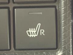 �ڥ����ȥҡ������۴������˽������륷���ȥҡ������������������᤯���ޤäƤ����ΤǴ�����οͤ�¿��Ǥ��͢���������β����ϴ��礹�뤫���ꡢ�Ȥ������ˤ�򤪤�����Ǥ��� 7