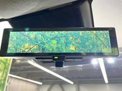 �ڥ���ƥꥸ����ȥ롼��ߥ顼�۸��ʤ��礭�ʲ�ʪ��Ʊ��ԤǸ�������ǧ���Ť餤���Ǥ�¿�������餬���Ƥ�����ξ�����α�����롼��ߥ顼���ɽ�������ꥢ�ʻ볦�Ǿ����γ�ǧ����ǽ�Ǥ��� 5