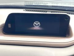 �ڥޥĥ����ͥ��ȥʥӡۼ����ʷ�ϵ��˥ޥå��������η������פΥʥӡ��Ƽ���������£�������������������͡��ʵ�ǽ���ڤ���ޤ���ľ��Ū�ʥ����������ǽ�ǡ��Ȥ�������ɹ��Ǥ��� 3