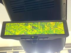 �ڥ���ƥꥸ����ȥ롼��ߥ顼�۸��ʤ��礭�ʲ�ʪ��Ʊ��ԤǸ�������ǧ���Ť餤���Ǥ�¿�������餬���Ƥ�����ξ�����α�����롼��ߥ顼���ɽ�������ꥢ�ʻ볦�Ǿ����γ�ǧ����ǽ�Ǥ��� 7