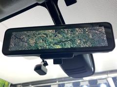 �ڥ���ƥꥸ����ȥ롼��ߥ顼�۸��ʤ��礭�ʲ�ʪ��Ʊ��ԤǸ�������ǧ���Ť餤���Ǥ�¿�������餬���Ƥ�����ξ�����α�����롼��ߥ顼���ɽ�������ꥢ�ʻ볦�Ǿ����γ�ǧ����ǽ�Ǥ��� 5