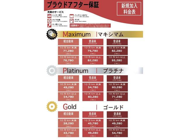 DICEリミテッド 1年保証付 車検令和5年6月迄 両側パワースライドドア メモリーナビ バックカメラ 7人乗 走行55千km USB入力端子 Bluetooth接続可 HIDヘッドライト 地デジTV CD・DVD再生(62枚目)