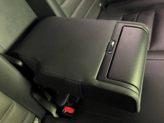 NX NX300h Fスポーツ サンルーフ/純正エアロ/保証書/純正 10.3インチ メモリーナビ/プリクラッシュセーフティ/エアーシート 前席/シート フルレザー/電動バックドア/ドライブレコーダー 360° 革シート フルエアロ(29枚目)