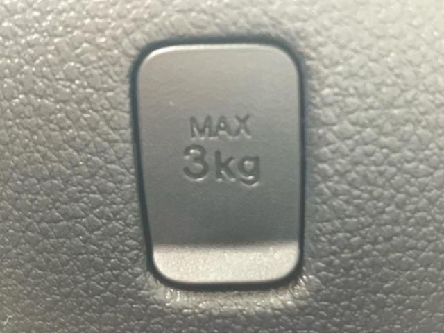 ハイゼットトラック ４ＷＤジャンボエクストラ　保証書／スマートアシスト（トヨタ・ダイハツ）／車線逸脱防止支援システム／登録済未使用車／ヘッドランプ　ＬＥＤ／ＥＢＤ付ＡＢＳ／横滑り防止装置／アイドリングストップ／エアバッグ　運転席　４ＷＤ（33枚目）