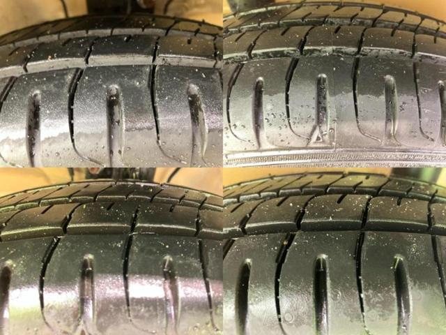 �u���̎Ԃ̎ʐ^�������ƌ������v�u��Ԃ��C�ɂȂ�v�u���̑����͂��Ă���H�v�ǂ�ȏ����ȋ^��ł����C�y�ɂ��₢���킹���������I