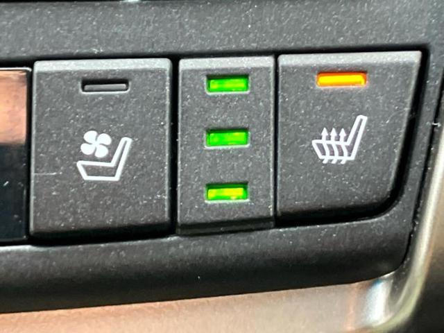 ＮＸ ＮＸ３００Ｆスポーツ　新品タイヤ／保証書／純正　１０．５インチ　ナビ／プリクラッシュセーフティ／エアーシート　前席／車線逸脱防止支援システム／シート　フルレザー／電動バックドア／ドライブレコーダー　純正　革シート　ドラレコ（38枚目）