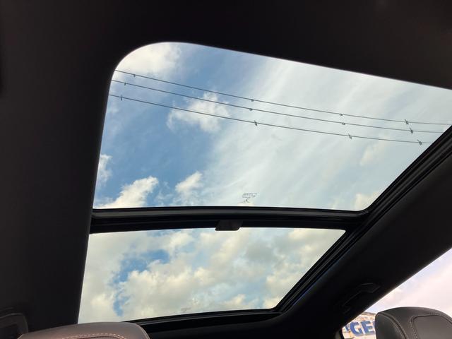 5008 GT ブルーHDi 純正ナビゲーション フルセグTV 社外19インチアルミ パノラマルーフ ドラレコ ETC 純正アルミ有 車検9年7月 タイヤ4本交換 BTオーディオ パワーリアゲート 衝突被害軽減ブレーキバックカメラ(28枚目)