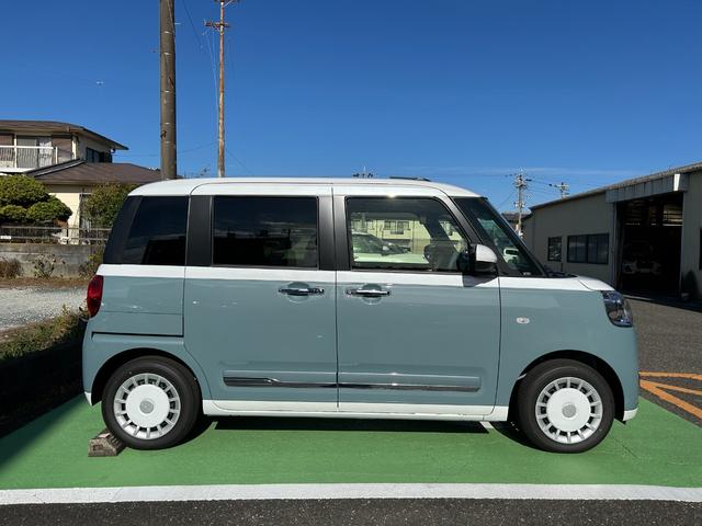 ムーヴキャンバス ストライプスＧ（4枚目）