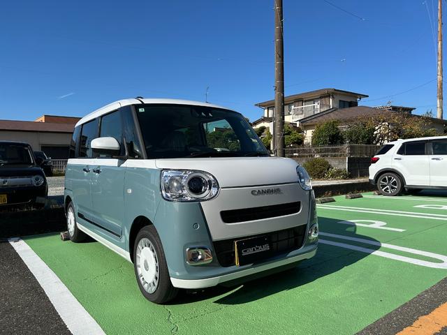 ムーヴキャンバス ストライプスＧ（6枚目）