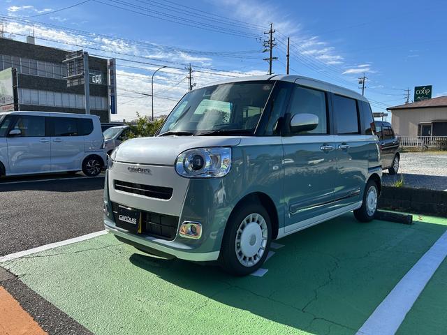 ムーヴキャンバス ストライプスＧ（7枚目）