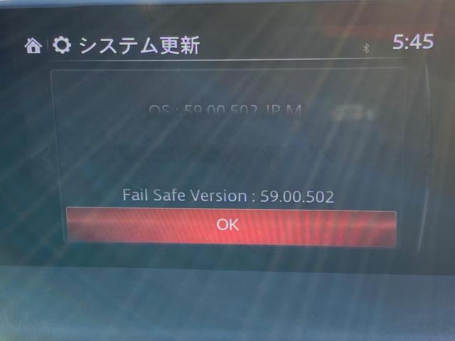 XD プロアクティブ フルセグ純正ナビ DVD再生 バックカメラ レーダークルーズ コーナーセンサー スマートキー ETC ブルートゥース(41枚目)
