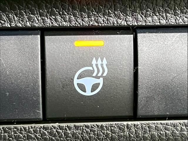 RAV4 G 純正ナビキット/TRDエアロ/全周囲カメラ/パワーバックドア/シートヒーター/ステアリングヒーター/レーダークルーズコントロール/オートハイビーム/シートメモリー/ブラインドスポットモニター/ETC(11枚目)