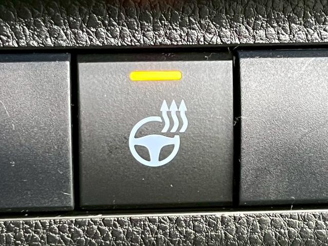 RAV4 G 純正ナビキット/TRDエアロ/全周囲カメラ/パワーバックドア/シートヒーター/ステアリングヒーター/レーダークルーズコントロール/オートハイビーム/シートメモリー/ブラインドスポットモニター/ETC(44枚目)