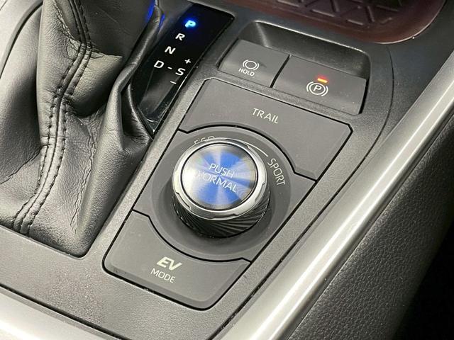RAV4 ハイブリッドG 9型ナビ/レーダークルーズコントロール/パワーバックドア/シートヒーター/ステアリングヒーター/ブラインドスポットモニター/クリアランスソナー/シートメモリー/オートハイビーム/オートエアコン/ETC(52枚目)