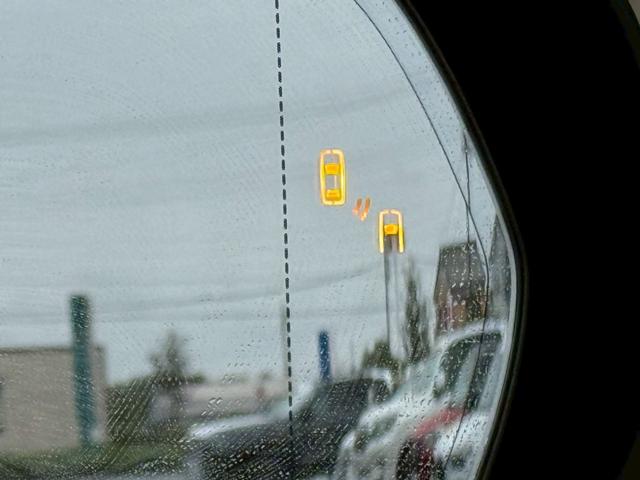 NX NX350h Fスポーツ パノラマルーフ/レッドレザー/AC100V/デジタルインナーミラー/オレンジキャリパー/シートヒーター/シートクーラー/ステアリングヒーター/ヘッドアップディスプレイ/BSM/三眼LED/ETC(62枚目)