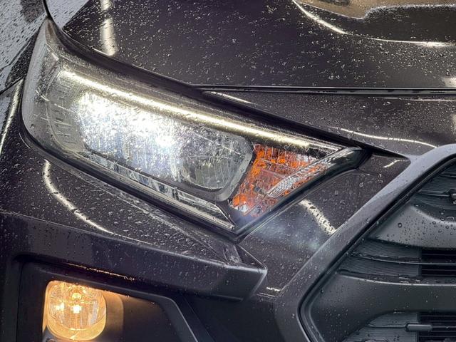 RAV4 アドベンチャー 純正ナビ/ツートンカラー/レーダークルーズコントロール/LEDヘッド/ブラインドスポットモニター/オートハイビーム/パワーウインドウ/オートエアコン/オートライト/電子サイドブレーキ/スマートキー(24枚目)