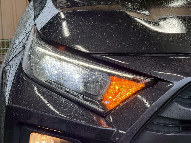 RAV4 アドベンチャー 純正ナビ/ツートンカラー/レーダークルーズコントロール/LEDヘッド/ブラインドスポットモニター/オートハイビーム/パワーウインドウ/オートエアコン/オートライト/電子サイドブレーキ/スマートキー(25枚目)