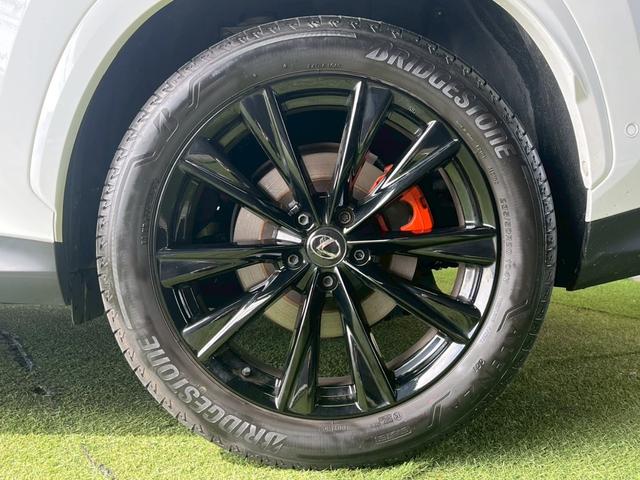 ＮＸ ＮＸ３５０ｈ　Ｆスポーツ　１４型ナビ／パノラマルーフ／全周囲カメラ／オレンジキャリパー／レッドレザー／デジタルインナーミラー／ＢＳＭ／ＨＵＤ／パワーバックドア／シートヒーター／シートクーラー／ステアリングヒーター／ＥＴＣ（29枚目）