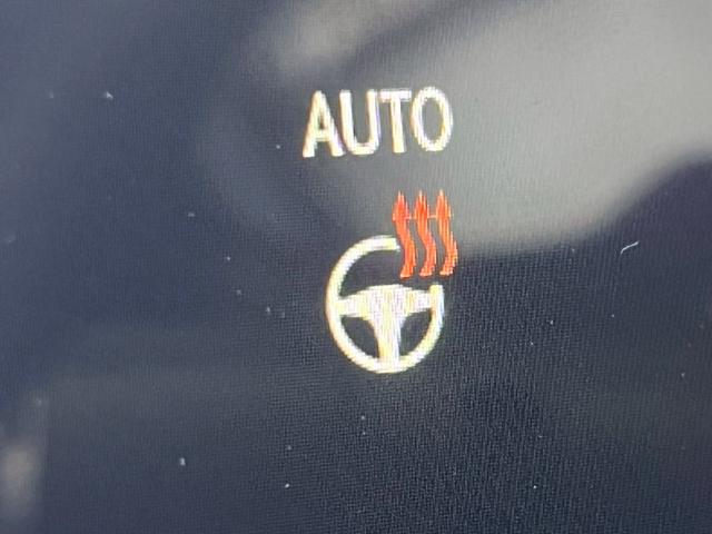 ＮＸ ＮＸ３５０ｈ　Ｆスポーツ　１４型ナビ／パノラマルーフ／全周囲カメラ／オレンジキャリパー／レッドレザー／デジタルインナーミラー／ＢＳＭ／ＨＵＤ／パワーバックドア／シートヒーター／シートクーラー／ステアリングヒーター／ＥＴＣ（53枚目）