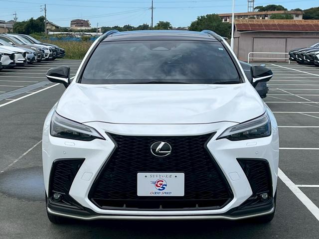 ＮＸ ＮＸ３５０ｈ　Ｆスポーツ　１４型ナビ／パノラマルーフ／全周囲カメラ／オレンジキャリパー／レッドレザー／デジタルインナーミラー／ＢＳＭ／ＨＵＤ／パワーバックドア／シートヒーター／シートクーラー／ステアリングヒーター／ＥＴＣ（64枚目）