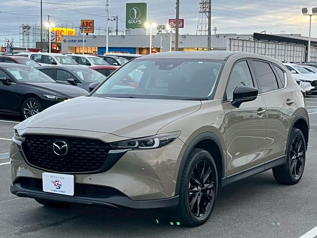CX-5 XD ブラックトーンエディション 純正10型ナビ/全周囲カメラ/レーダークルーズコントロール/パワーバックドア/シートヒーター/ステアリングヒーター/クリアランスソナー/ヘッドアップディスプレイ/シートメモリー/ワイヤレス充電(63枚目)