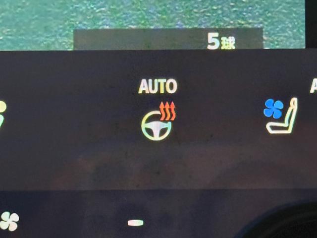 アルファードハイブリッド Z 14型ナビ/モデリスタエアロ/パワーバックドア/AC100V/レーダークルーズコントロール/全周囲カメラ/BSM/ワイヤレス充電/両側電動ドア/シートヒーター/シートクーラー/ステアリングヒーター(48枚目)